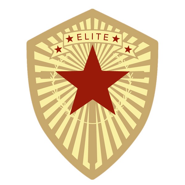 Elite Star Movers logo